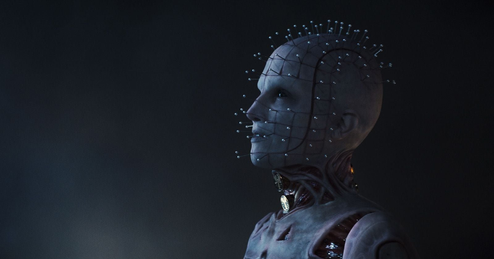 Cenobites official character still