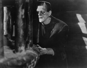 Frankenstein’s Monster