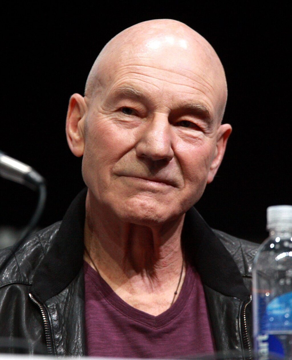 Patrick Stewart smiling at a convention panel — photograph by Gage Skidmore