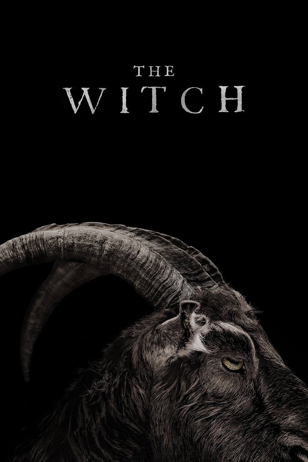 The Witch (2015) official movie poster